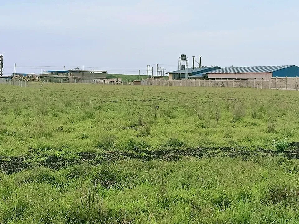 konza city plots