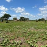 baolala cheap plots 05