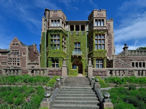 pexels nuclear medicine 1317359267 31943820