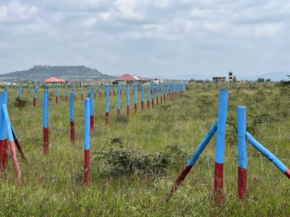 tulivu gardens prime plots 04