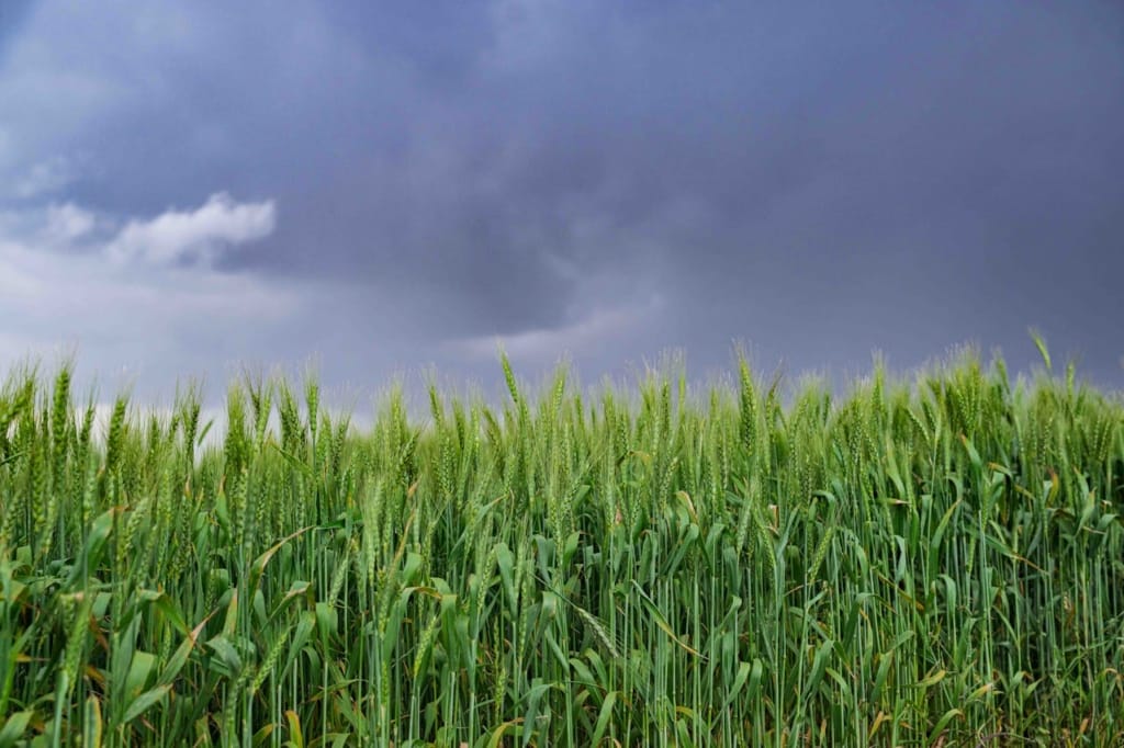 Land for Sale in Kenya