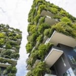 The Green Building Movement Gains Ground1