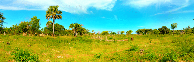 shimoni beach plot