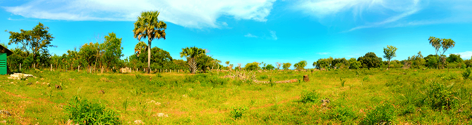 shimoni beach plot