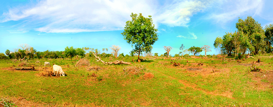 shimoni beach plot