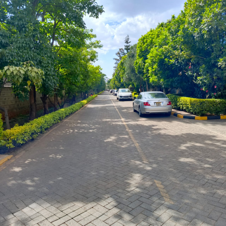 Eagle Plains Estate road