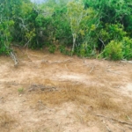 840 Acres for Sale in Dakacha Kilifi County (1)