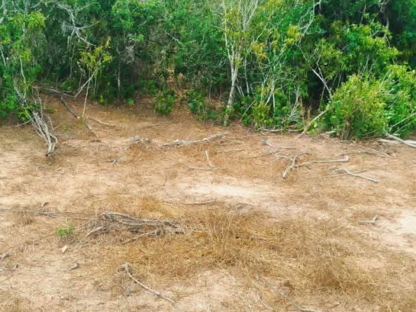 840 Acres for Sale in Dakacha Kilifi County (1)