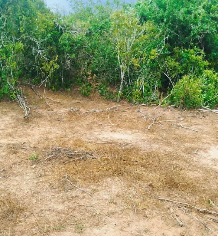 840 Acres for Sale in Dakacha Kilifi County (1)