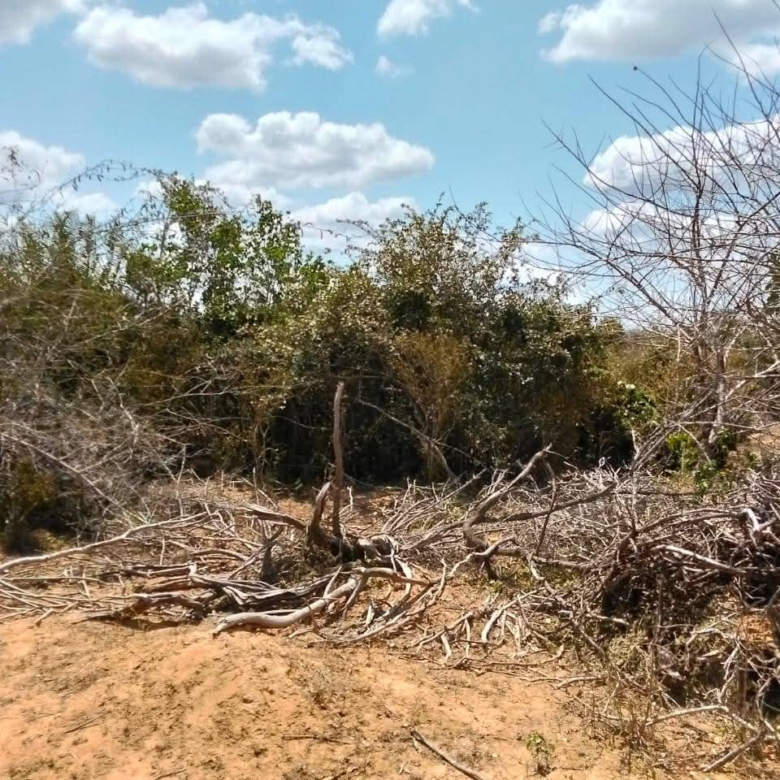 Baricho land for sale (2)