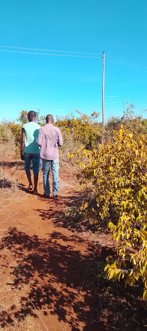 Kaliapapo Plots for Sale (1)