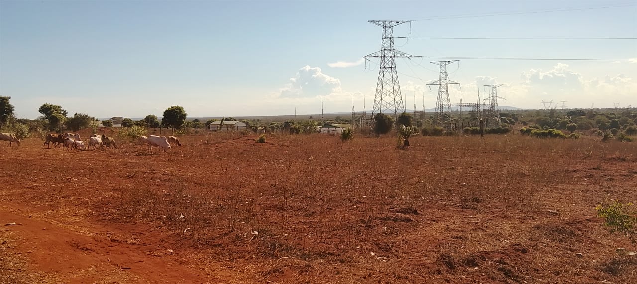 Kaliapapo Plots for Sale (2)