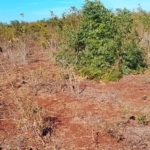 Kaliapapo Plots for Sale (3)