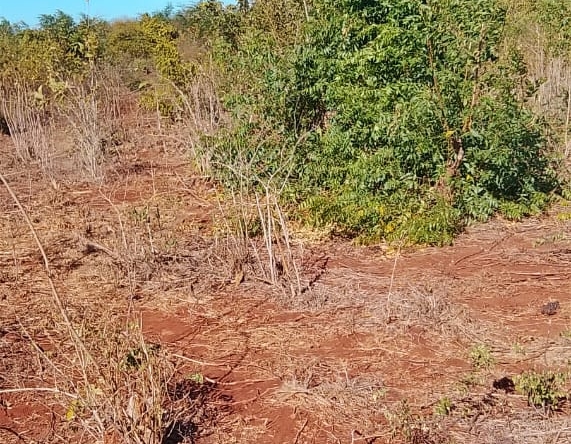 Kaliapapo Plots for Sale (3)