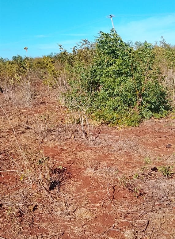 Kaliapapo Plots for Sale (3)