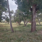 Kizingo plots for sale 4