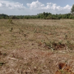 land for sale in narok (1)