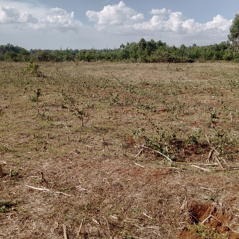 land for sale in narok (1)