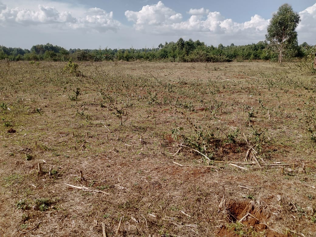 land for sale in narok (1)