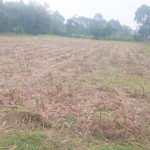 land for sale in webuye,bungoma (1)