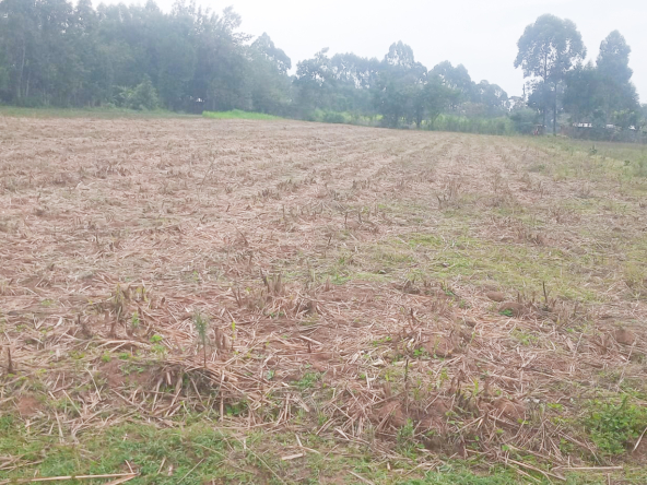 land for sale in webuye,bungoma (1)