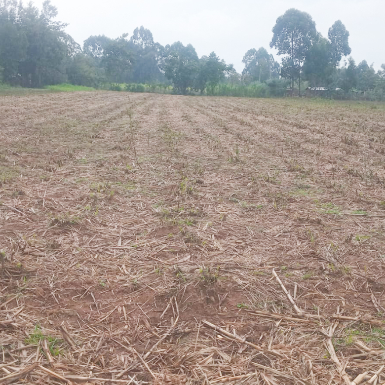 land for sale in webuye,bungoma (2)