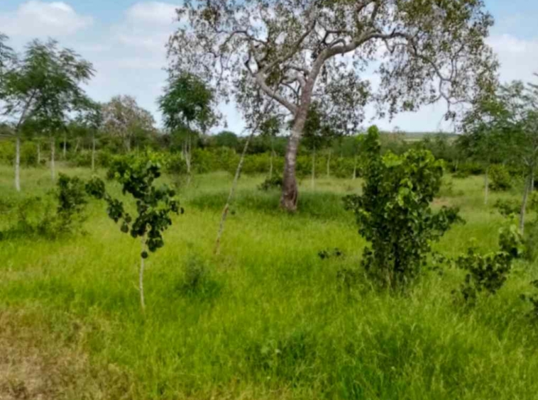 Land for Sale in Chakama, Kilifi (4)