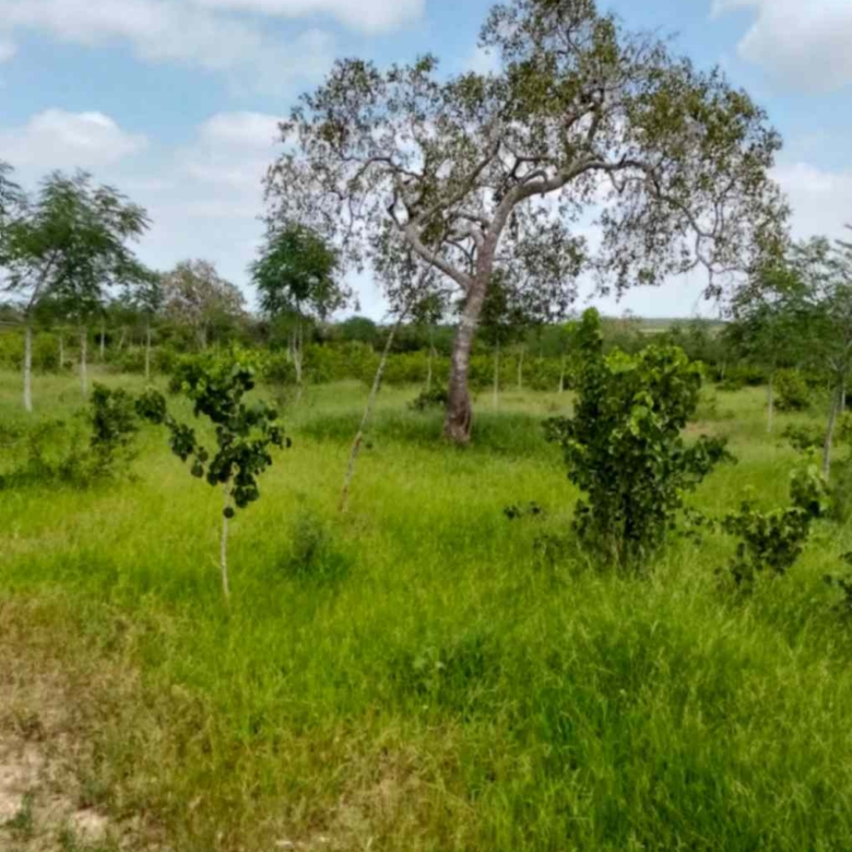 Land for Sale in Chakama, Kilifi (4)