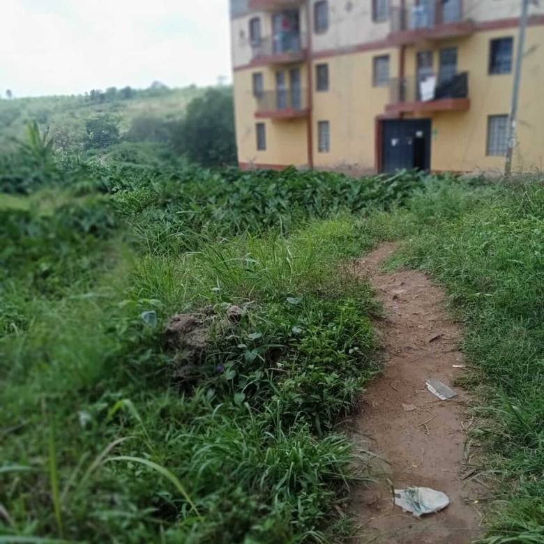 Plot for sale in Biafra, Thika (4)