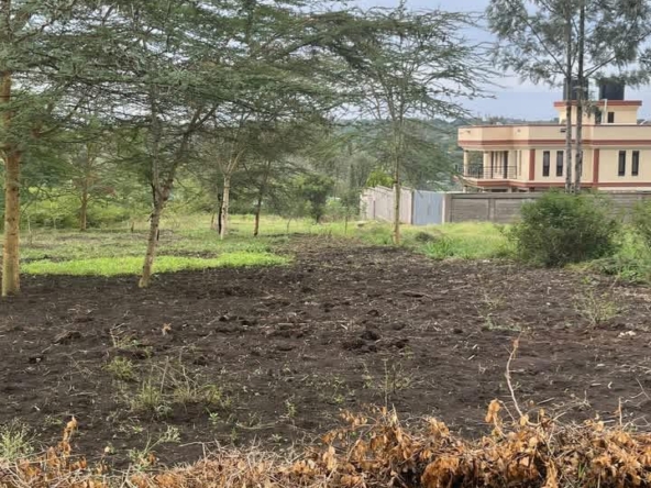 Plot for sale in Kandisi (4)