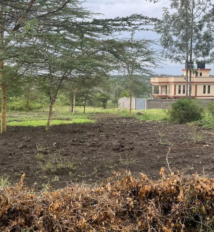 Plot for sale in Kandisi (4)