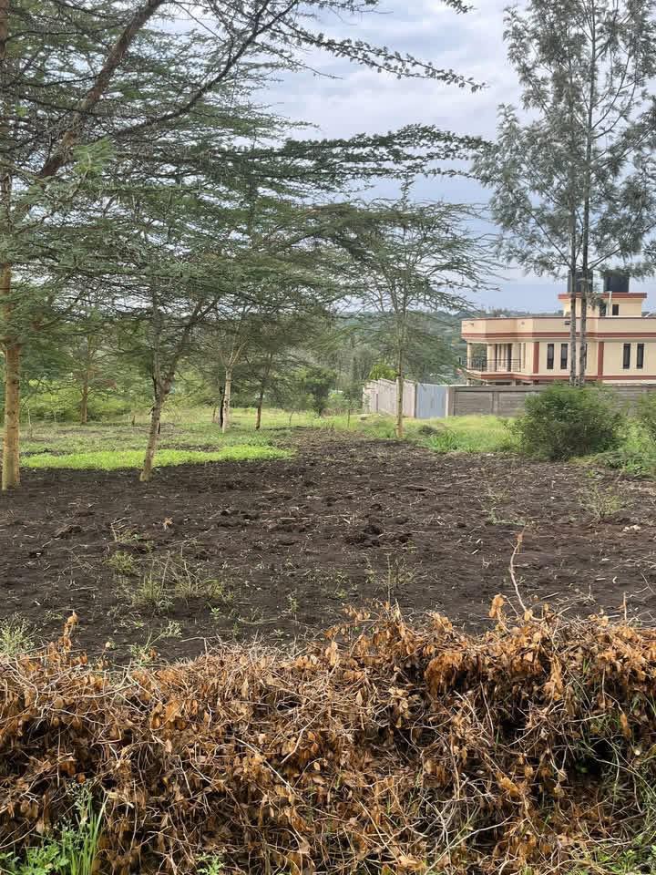 Plot for sale in Kandisi (4)