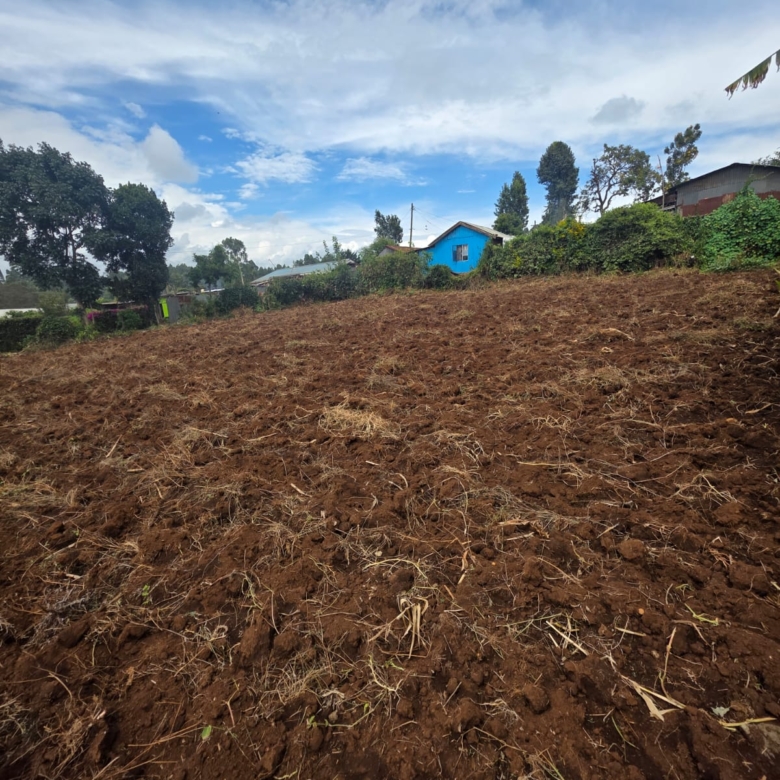 land for sale in tilisi (1)