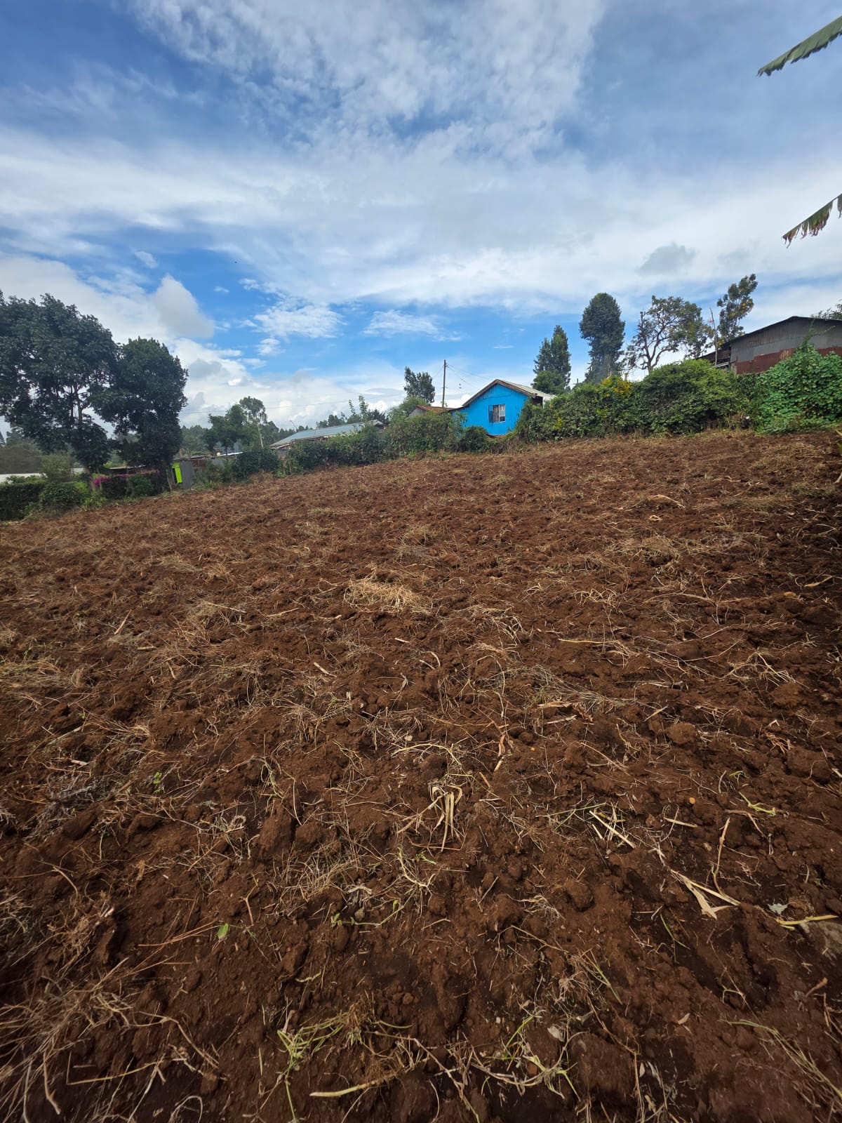 land for sale in tilisi (1)