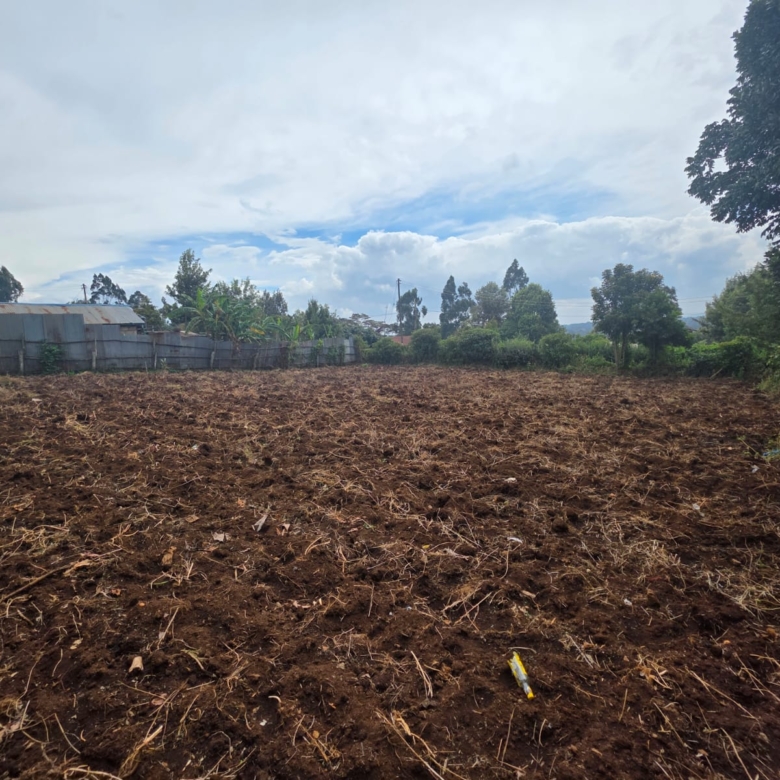 land for sale in tilisi (2)