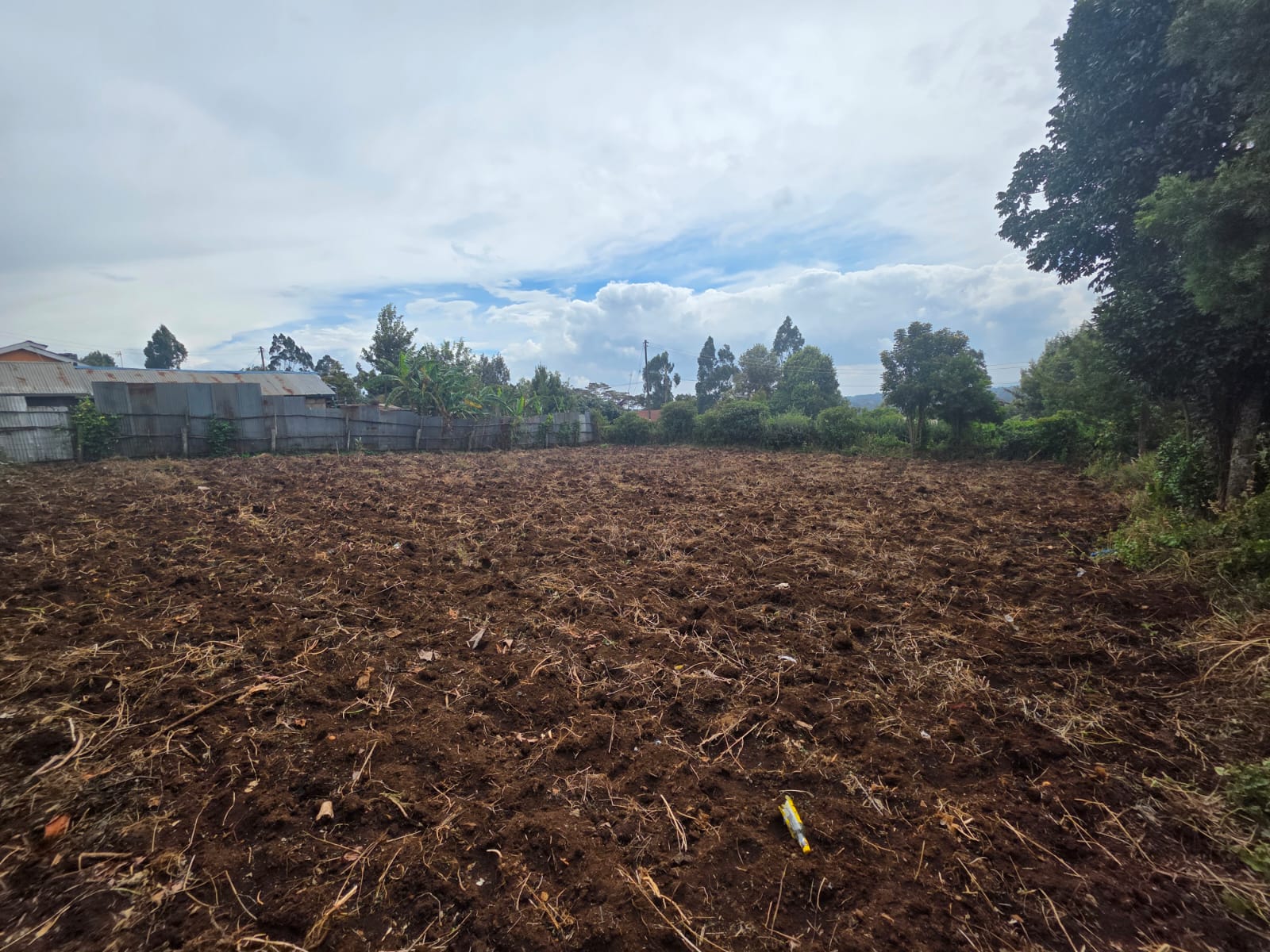 land for sale in tilisi (2)