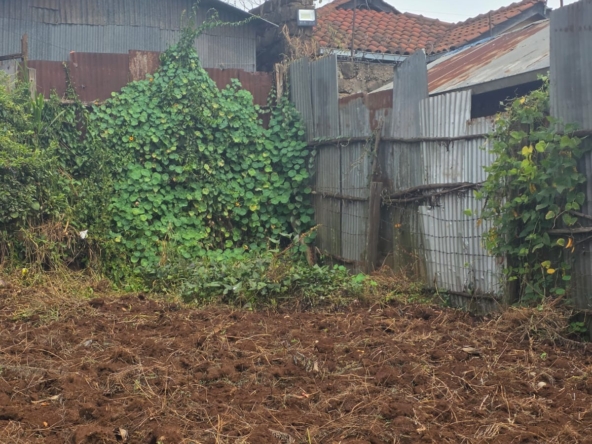 land for sale near tilisi