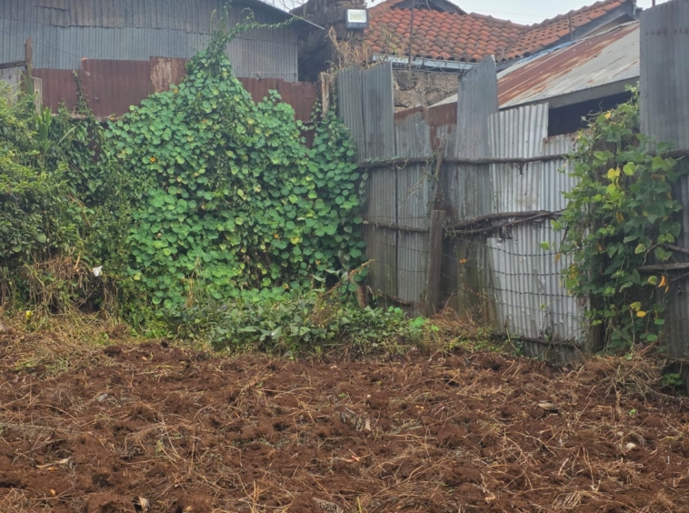 land for sale near tilisi