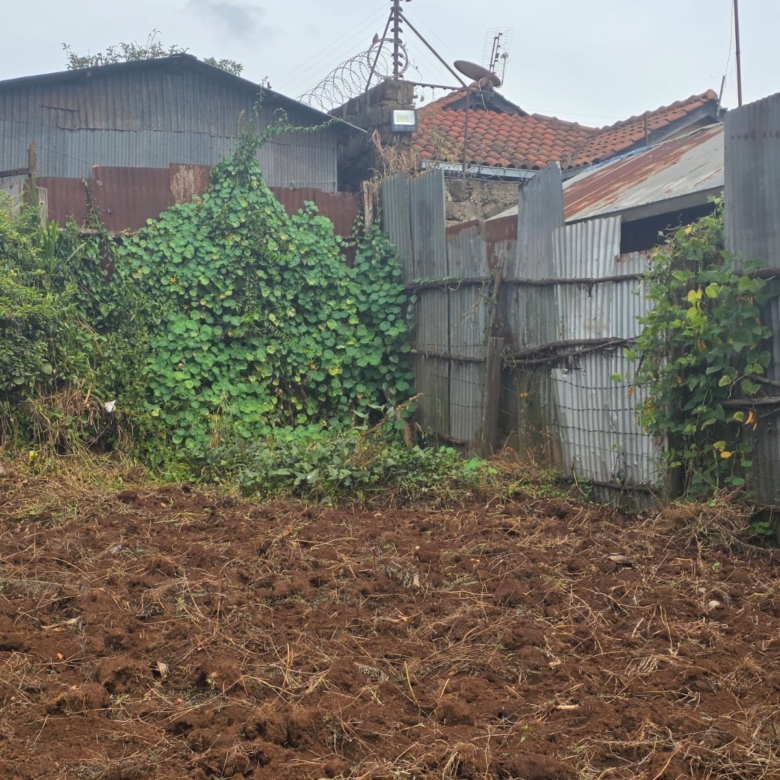 land for sale near tilisi