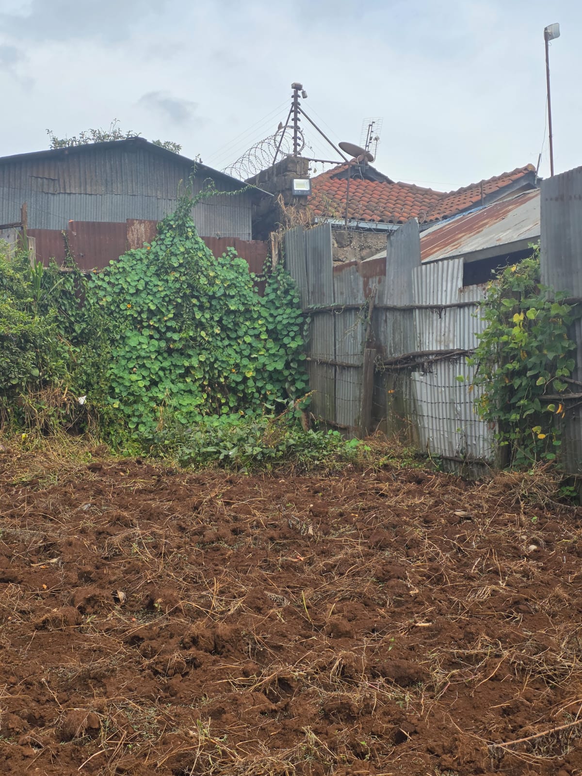 land for sale near tilisi